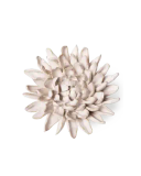 GroenRijk Keramiek Wandbloem Ivoor Chrysant