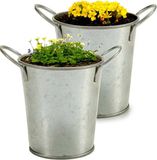 Arte r Pot de fleurs/pot de fleurs seau - 2x - zinc - argent - D12 x H16 cm