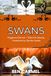 SWANS Elegance Eternal