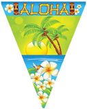 Merkloos / Sans marque Espa Nv Vlaggenlijn Hawaii Aloha - 5 meter - kunststof - Tropisch feest thema