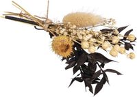 RAYHER Klein bosje droogbloemen in creme zwart tinten Lengte 18/20 cm