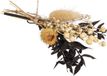RAYHER Klein bosje droogbloemen in creme zwart tinten Lengte 18/20 cm