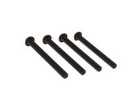 Horizon Button Head Screw M4x43mm (4) Metaal