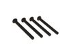 Horizon Button Head Screw M4x43mm (4) Metaal