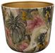 TS Collection Pot Monstera Mystery - Ø 18 cm