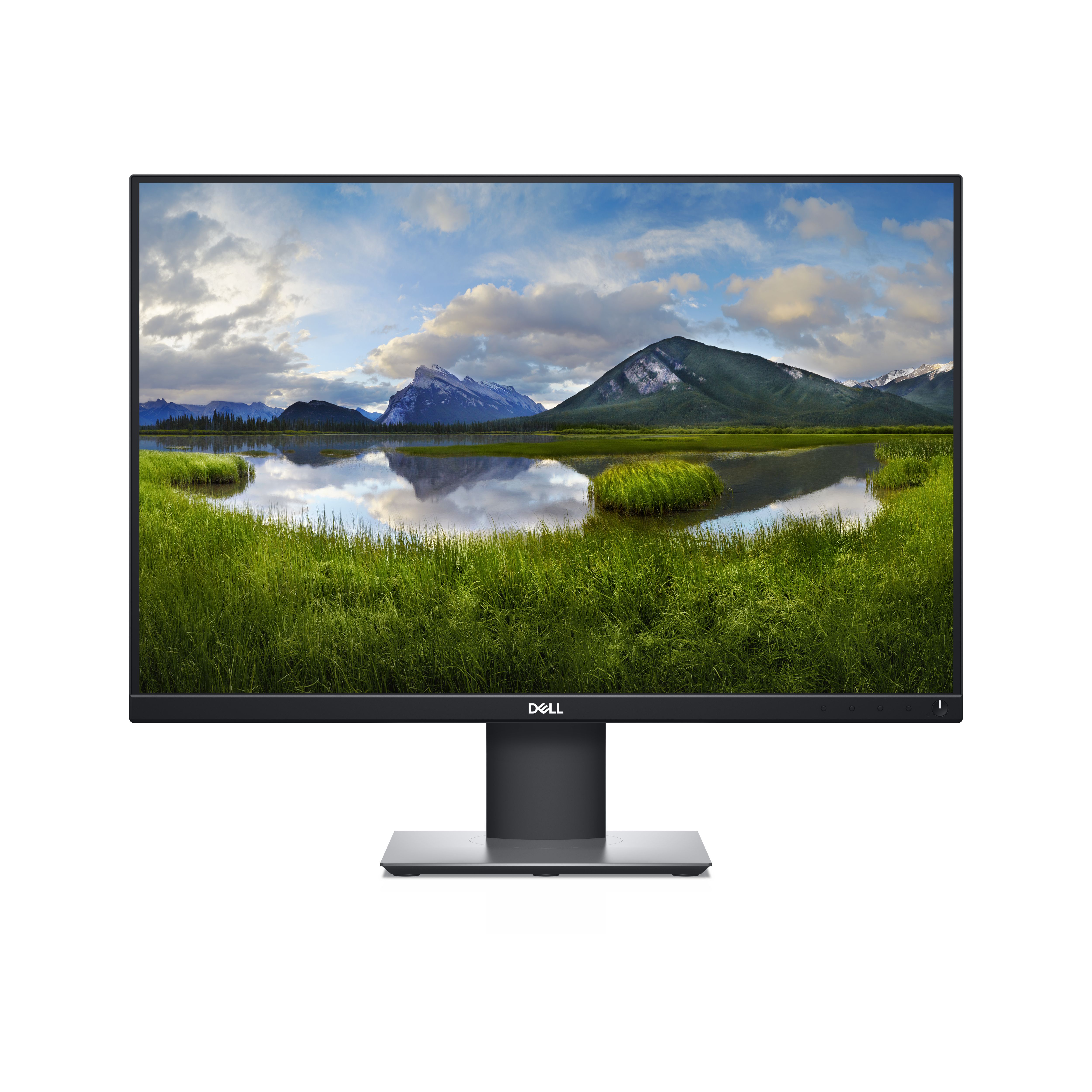 Dell P2421 - 24.1 inch Monitor - 1920 x 1200 - IPS