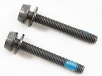 Campagnolo Bouten Voor Schijfremklauw Achter 24 Mm 2 Stuks