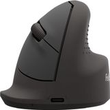 Fellowes Breyta™ Ergonomische Verticale Muis - Medium Rechts