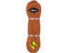 Beal Tiger Golden Dry 10 mm corde orange 70 m