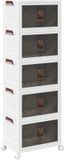 vidaXL Opbergbox met wielen 5-laags 28 L 48,5x29,5x139 cm