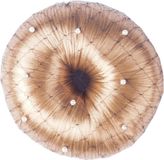 Horka Knotnet Pearl Zwart