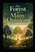 The Libri GmbH Patterns Before Predictions a Fear-Free Machine Learning Journey from First Principles-The Forest of Many Opinions Paperback