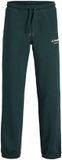Jack & Jones Junior Relaxed fit broek Scarab