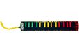 Hohner Airboard Rasta