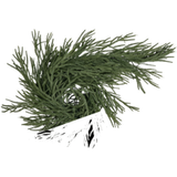 LIVARNO® Guirlande de Noël ou Couronne de Noël (Guirlande de cèdre)