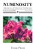 Numinosity: Tomis Press Art & Literary Journal- Numinosity Paperback