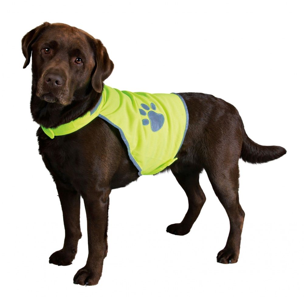 TRIXIE Reflecterend Veiligheidsvest - XS - groen