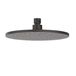 IVY Hoofddouche Medium 25 cm - RVS316 Geborsteld Carbon Black