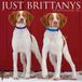Brittanys 2027 12 X 12 Wall Calendar
