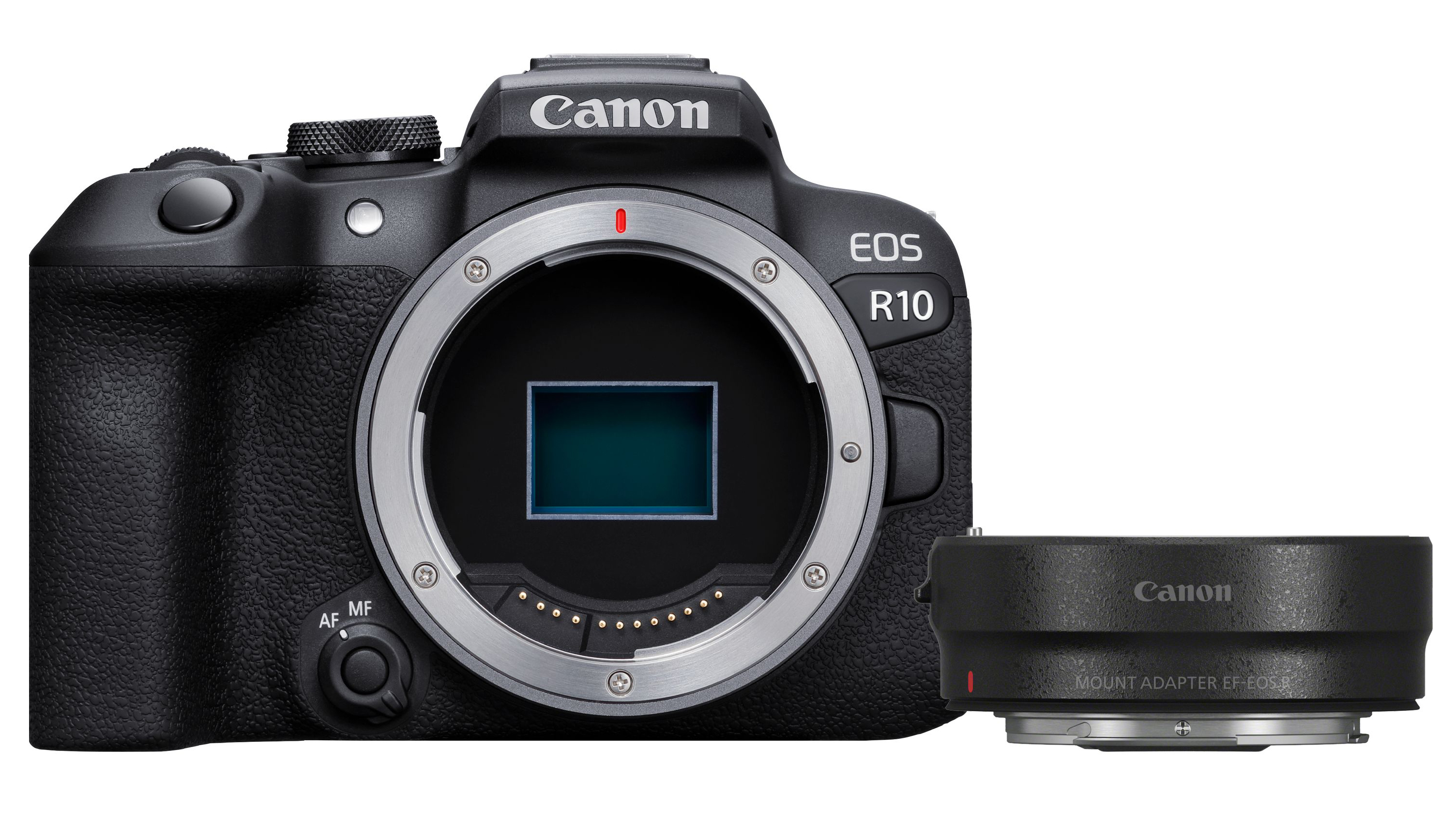 Canon R10+ EF-EOS R