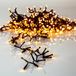 EGLO buitenlichtsnoer goud warm wit, kerstverlichting tuin, LED-snoer | kunststof zwart en kunststof amber IP44, 2400 cm