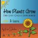 How Plants Grow: The Life Cycle Explained - A Fun Science Coloring Book for Kids Ages 3-8