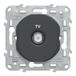 SCHNEIDER ELECTRIC Ovalis Prise TV Anthracite