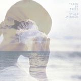 Other Taken By Trees - Other Worlds (LP)