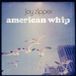 Bertus Distributie Last Night From Glasgow American Whip LP Blauw Ondoorzichtig