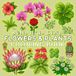 Bold and Easy Flowers & Plants Coloring Book