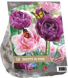 Baltus Urban Flowers Pretty in Pink Tulips - 12 Bulbs