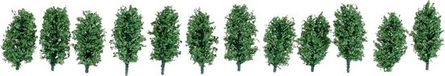 Noch Thuja Haag