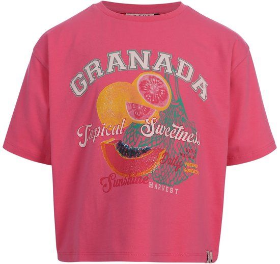 LOOXS Little T-shirt Roze Maat 92