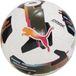 Puma Orbita 2 TB (FIFA Quality Pro) voetbal wit-multicolor maat 5