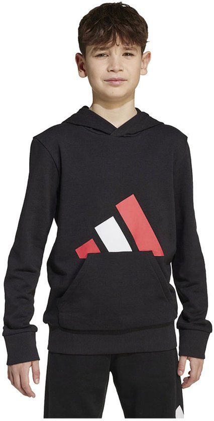 Adidas Essentials Hoodie Zwart 11-12 Jaar Jongens/Meisjes