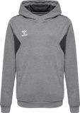 Hummel Sweat à capuche Hmlauthentic Pl Kids 219977 Gris Chiné