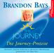 The Journey - Die Journey-Prozesse. 2 CDs: Führung durch den Journey-Prozess