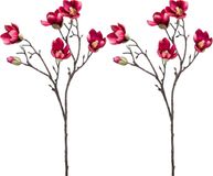 Emerald Kunstbloem Magnolia tak - 2x - 65 cm - dieproze - Kunst zijdebloemen