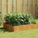 Maison Exclusive - Jardinière surélevée 100x100x41 cm, version acier Corten