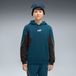 PUMA Essentials hoodie met kleurvlakken voor Heren