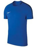 Nike Dry Academy 18 Sportshirt Kinderen - Blauw