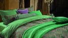 Pip Studio Little Jabali dekbedovertrek - Lits-Jumeaux - 240 x 200/220 cm - Groen