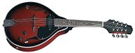 Tenson Folk-mandoline elektrisch akoestisch model