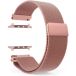 Bracelet de montre Apple Watch Platyne