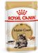 Royal Canin Maine Coon Adult Natvoer - 12x85 g