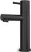 Hotbath Buddy Fonteinkraan - L uitloop 8.5cm - opbouw - Geborsteld zwart PVD