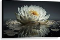 Merkloos / Sans marque Take your time Canvas - Witte Waterlelie Drijvend op Water met Veel Bladeren en Donkere Achtergrond - Bloemen - 90x60 cm Foto op Canvas Schilderij (Wanddecoratie op Canvas)