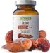 BIOWEN REISHI PILZEXTRAKT GLUTENFREI (400 mg) 90 KAPSELN