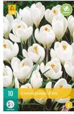 jub X 10 Crocus Jeanne d'Arc