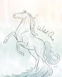 Komar Disney Frozen Blue Lights Wandafbeelding Kind 40 x 50 cm